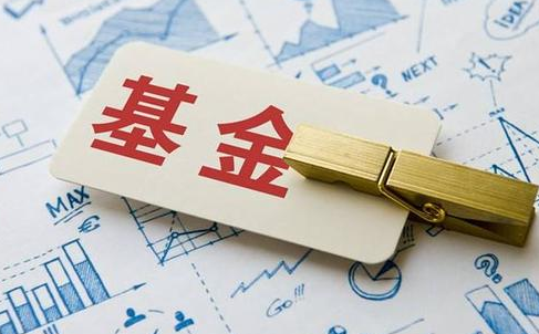怎么看基金的历史表现？